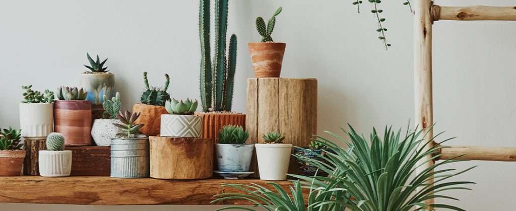 Transforma tu hogar con una decoración mexicana.