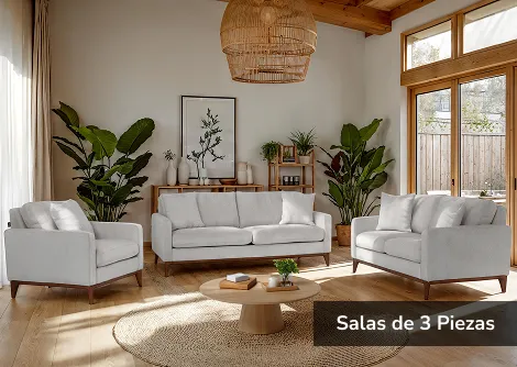 Salas 3 Piezas